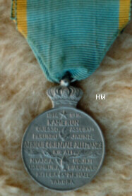 Commemorative African Campaign Medal reverse