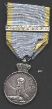 Commemorative African Campaign Medal