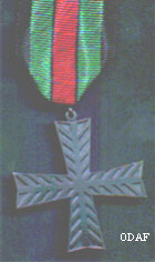 Northern Viena Cross