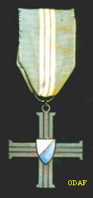 Blue Brigade Cross