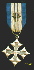 19th Division Cross