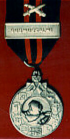 Winter War Medal