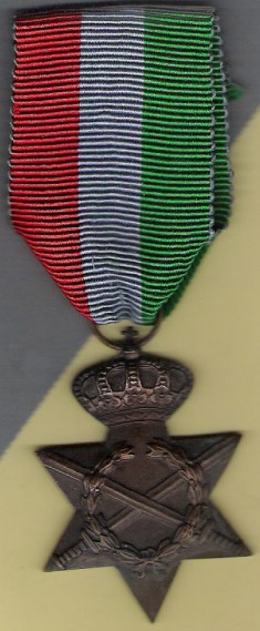 War Medal 1941-45, obverse