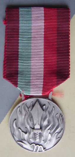 Fire Brigade MSM, obverse