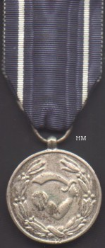 Navy Active Service Medal, obverse