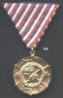 Struggle Against Fascism Medal, obverse